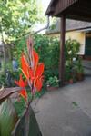 Hostal Piri Vend�gh�z