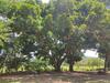 Bed & Breakfast Hospedaria Peregrina