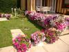 Am�lia Apartman