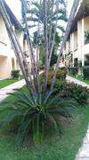Apartamento Solar De Pipa Duplex Elegance