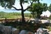 Boutique B&B Agroturizam Sv. Juraj