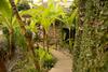 Hostel La Isla