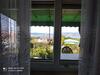 Apartments Marica