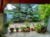 A Nyugalom Szigete H�z
