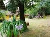 Hostal Moh�s Vend�gh�z K?szeg