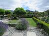 Bed & Breakfast Marchmont Gardens