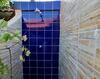 Novo Casa Com Piscina E Wi Fi Em Mongagua Sp