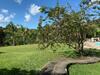 Parque Das Jandaias - Ch�cara