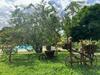 Parque Das Jandaias - Ch�cara