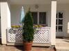 Apartamento Villa Galina H�v�z