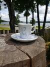 North Lake Villa Plateliai