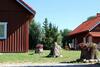 Agroturismo Sodyba Skirvyt?l?s Sod?ius