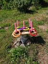 Bed & Breakfast Poilsio Kampelis Zarasuose