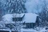 Nature Escape - Villa- Spa- Horses - Lake Plateliai