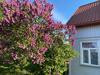 Skrunda Apartments Rustic
