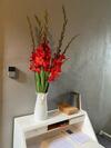 Skrunda Apartments Rustic