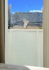 Center Apartment 10a