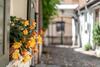Apartamento Sun Lighted Cathedral Square Studio