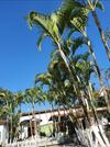 Hostal Recanto Da Paz Fyona