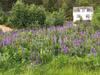 Holiday Home F�rde