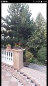 Villa Vila Violeta