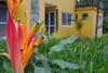 Apartamento La Ville Cambury