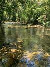 S�tio Pr�ximo A Praia De Camburi