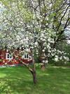 Charming Holiday Home Villa Berika