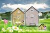 Tiny House Lavender