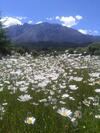Lodge Caba�as Cuatro Estaciones