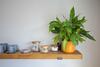 Apartamento Pebbles King Studio, Carbis Bay