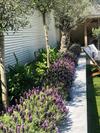 The Poplars Town House In Cowes With Heated Pool
