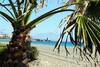 Casa Mediterr�neo