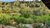 Pushe Acebuches Nature&relax