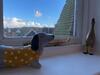 Regal Retreat Modern 2 Bed Apartment 400m From Sea