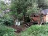 Clachamish Yurt