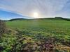 Lovely 1bd Couples Retreat In The Heart Of Devon