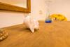 Apartamento Casamonteymar Dolores