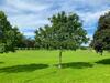 York Racecourse Retreat - Free Parking - Peaceful Green Space