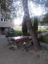 Apartment Dragica