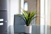 Vibrant & Warm Apartment In Central Birmingham