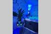 The Exclusive Jacuzzi Apartments