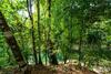 Drake Bay River View - Glamping Eco Lodge