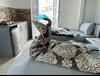 Bed & Breakfast Canyon Villa