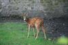Bed & Breakfast Ch�teau Le Briou D'autry
