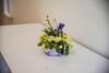 Hostal Farm Stay ?urej