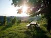 Apartamento Holiday Home Winzerhaus Eva