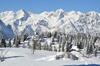 Ko?a Ojstrica - Velika Planina