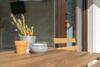 Hostal The Foxhouse