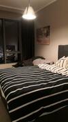 Apartamento ??? ????? ????? ???? ???? Amazing Flat Koza Park